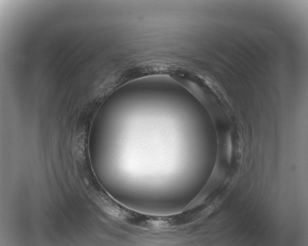 X0000080680509200612221146