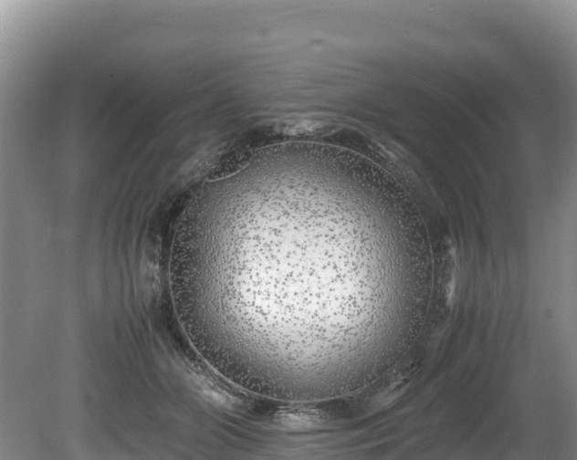X0000080680510200612221146