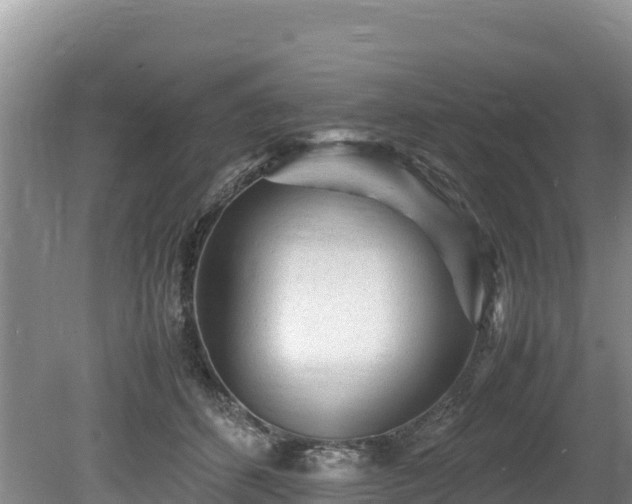 X0000080680512200612221146