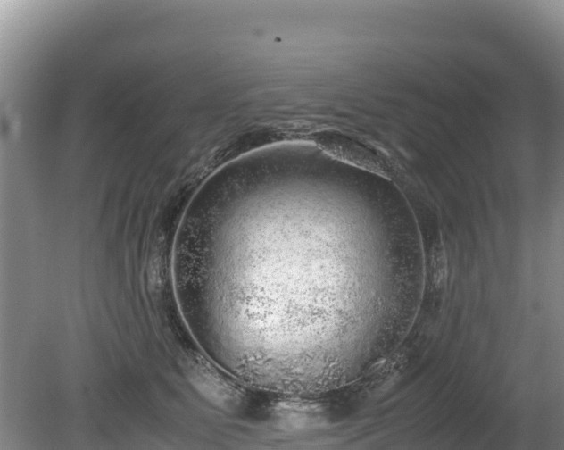X0000080680515200612221146