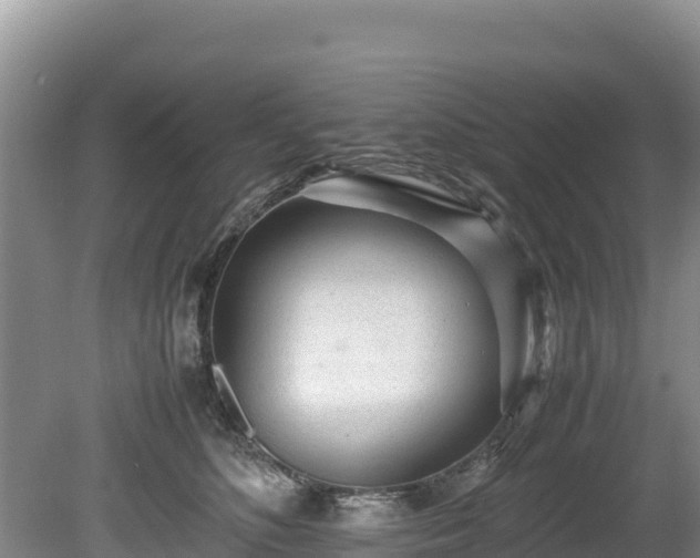 X0000080680516200612221146