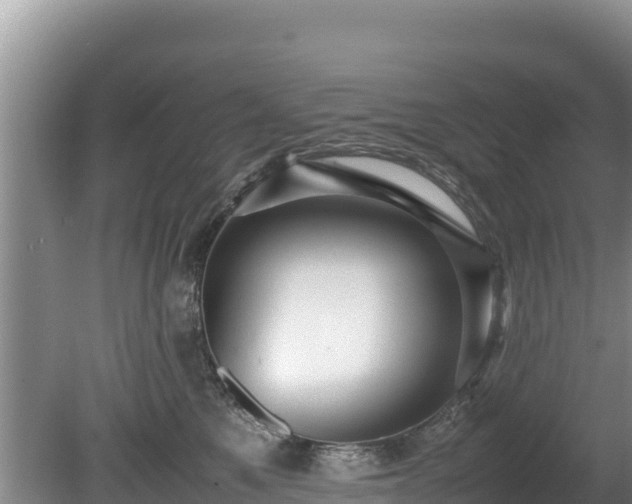 X0000080680521200612221146