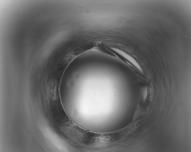 X0000080680525200612221146