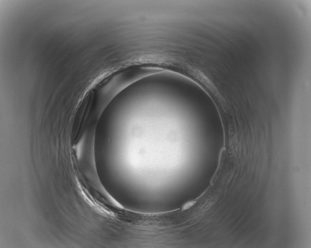 X0000080680530200612221145