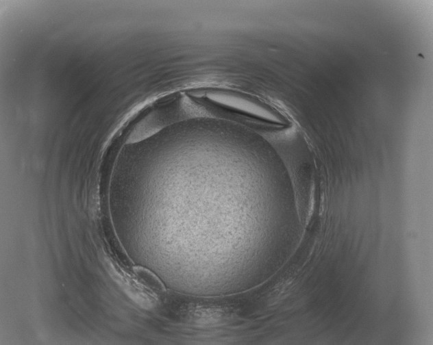 X0000080680531200612221145