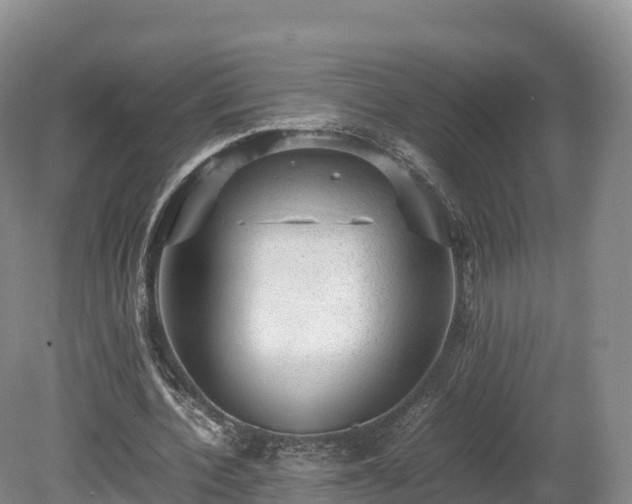 X0000080680532200612221145