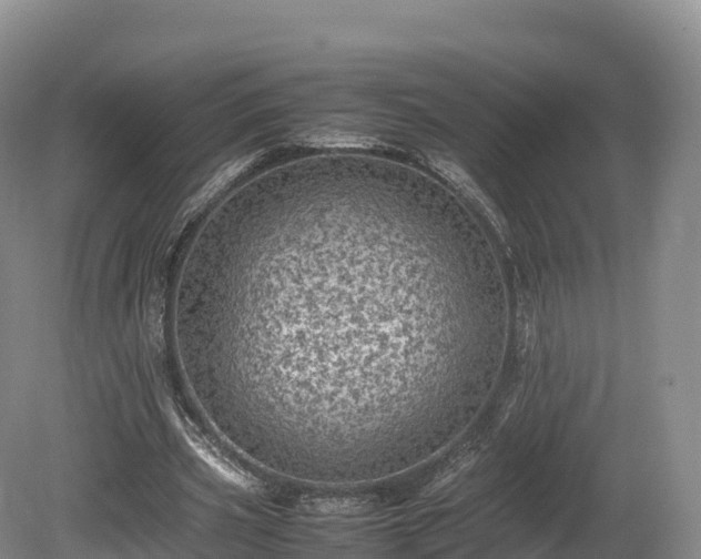 X0000080680533200612221145