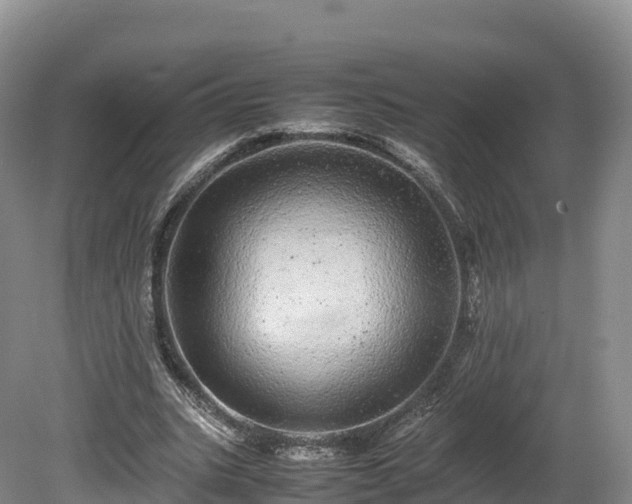 X0000080680535200612221145