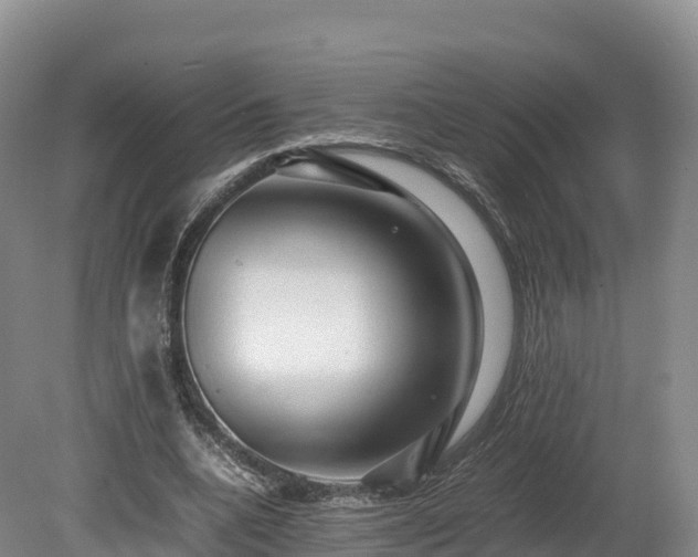 X0000080680536200612221145