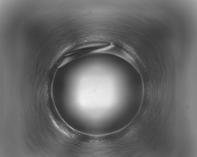 X0000080680538200612221145