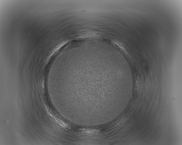 X0000080680539200612221145