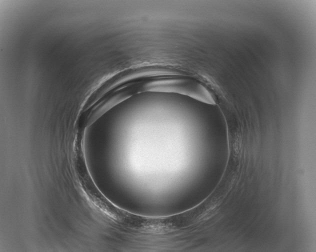 X0000080680540200612221145