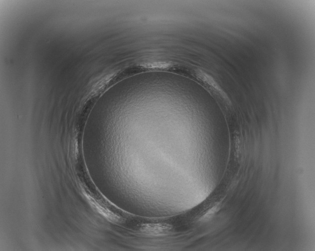 X0000080680541200612221145