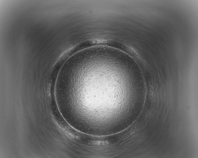 X0000080680543200612221145