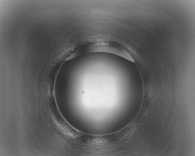 X0000080680546200612221145