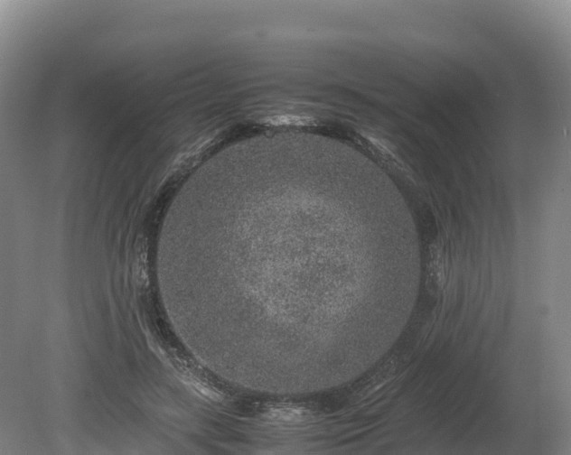 X0000080680547200612221145