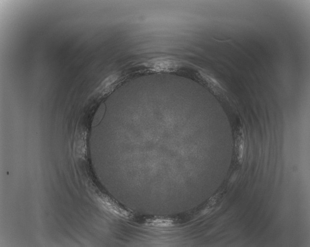 X0000080680554200612221145