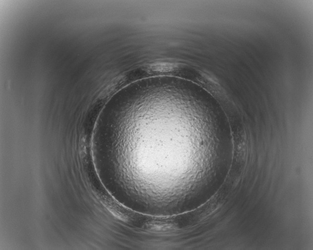 X0000080680555200612221145