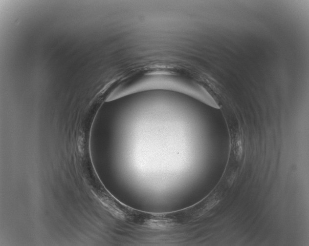 X0000080680556200612221145