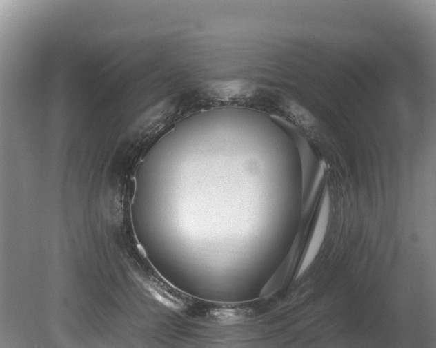 X0000080680558200612221145