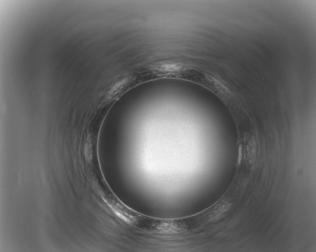 X0000080680562200612221145