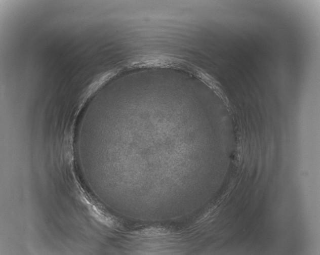 X0000080680578200612221145