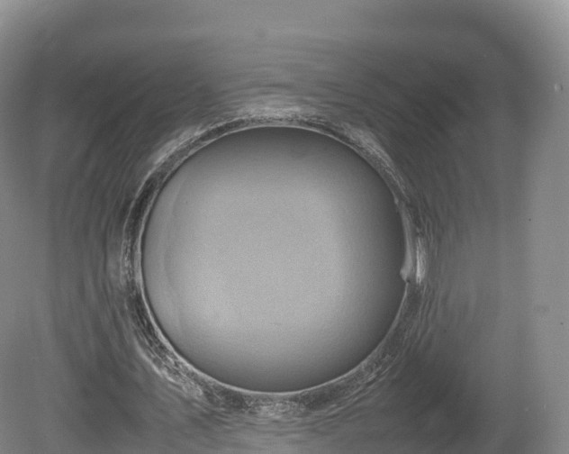 X0000080680579200612221145