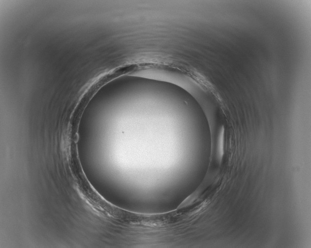X0000080680580200612221145