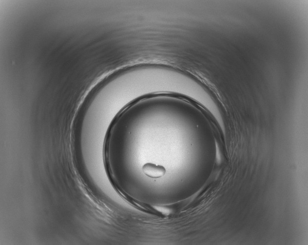 X0000080680584200612221145