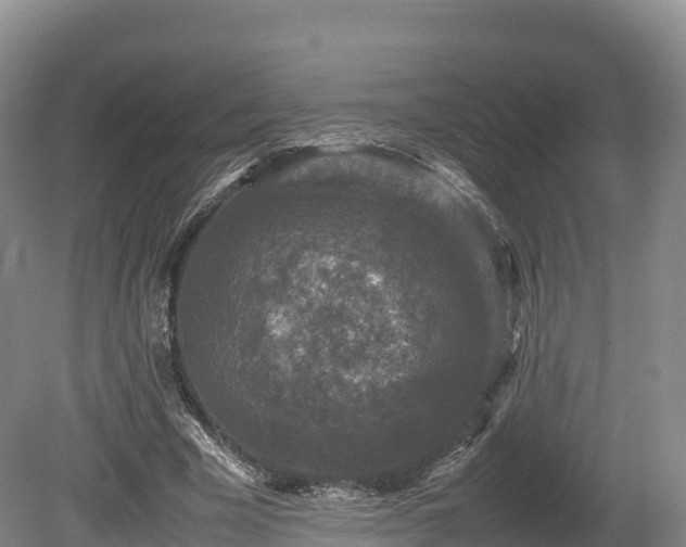 X0000080680585200612221145