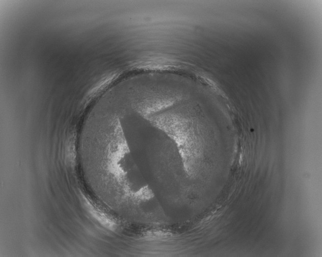 X0000080680586200612221145