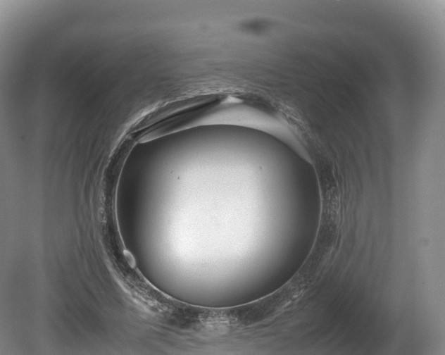 X0000080680587200612221145