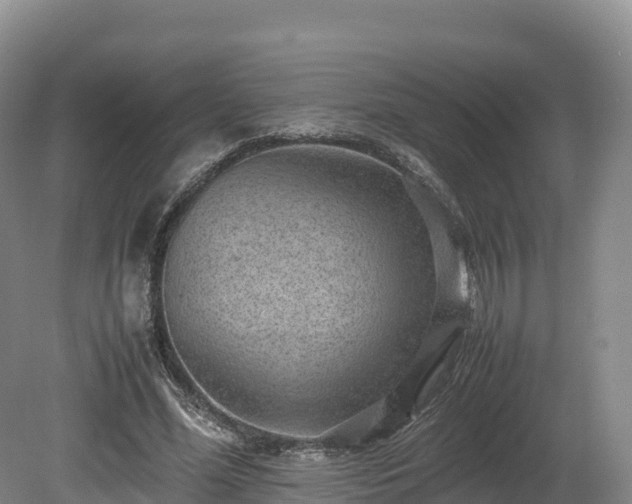 X0000080680588200612221145
