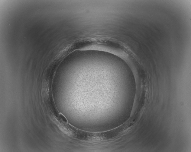 X0000080680593200612221145