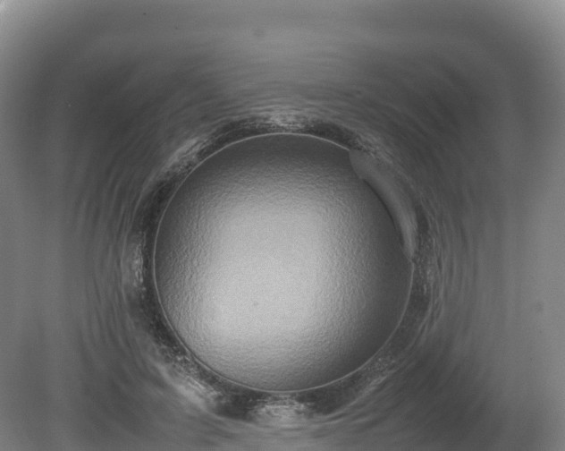 X0000080680595200612221145
