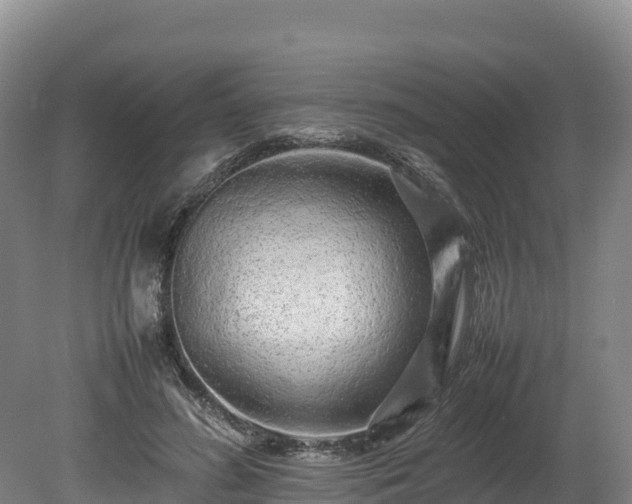X0000080680596200612221145