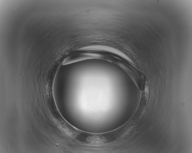 X0000080680597200612221144