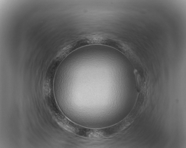 X0000080680599200612221144
