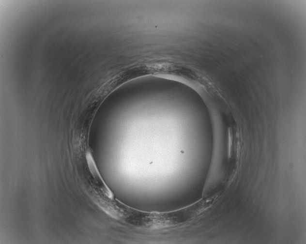 X0000080680601200612221144