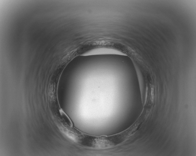 X0000080680605200612221144