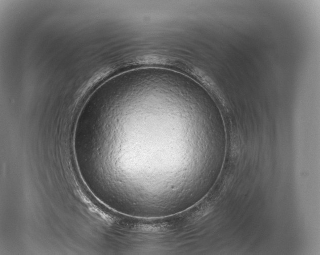 X0000080680625200612221143