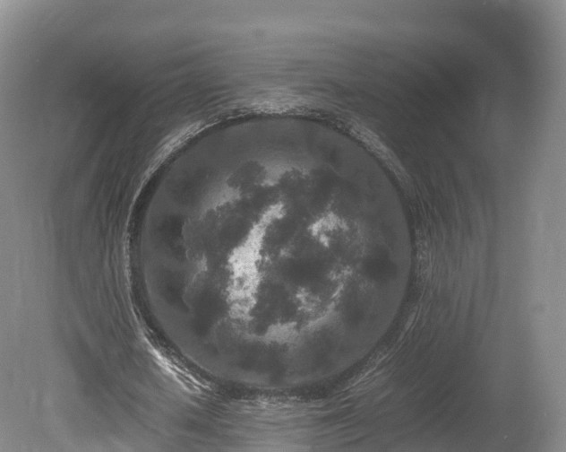 X0000080680626200612221143