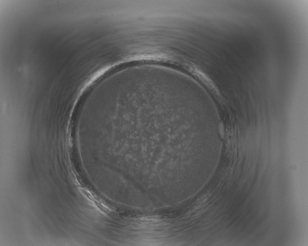 X0000080680628200612221143