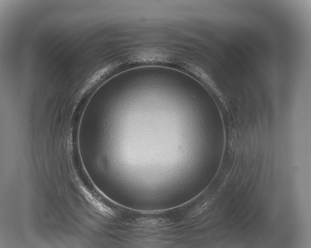 X0000080680629200612221143