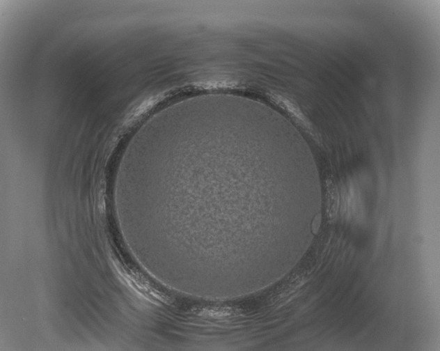 X0000080680631200612221143