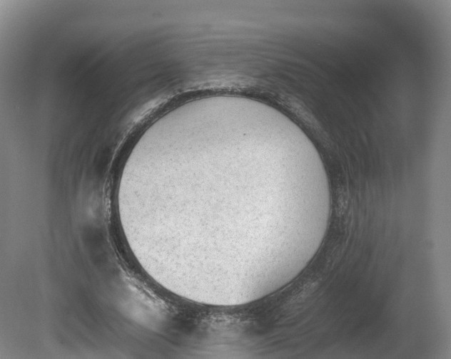 X0000080680632200612221143