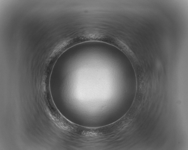 X0000080680635200612221143