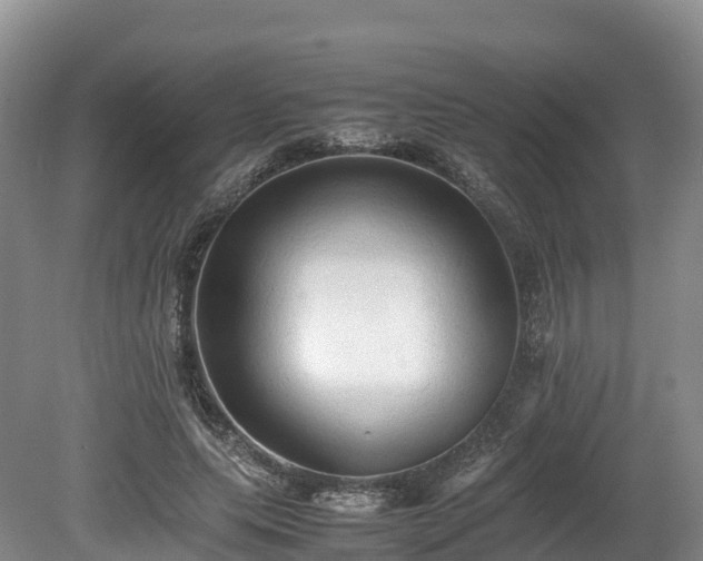 X0000080680639200612221143