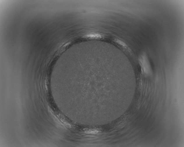 X0000080680643200612221144