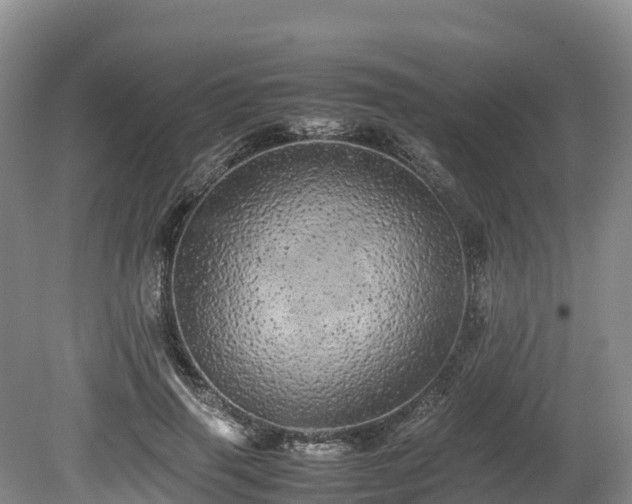 X0000080680645200612221144